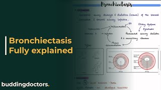 Bronchiectasis  definition etiology pathophysiology types diagnosis and treatment [upl. by Neiman]