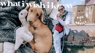 things i wish i knew before getting a puppy first week with a miniature dachshund vlog [upl. by Yanrahs]