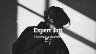 Expert Jatt Slowed  Reverb  MP3 HUB [upl. by Audwin430]