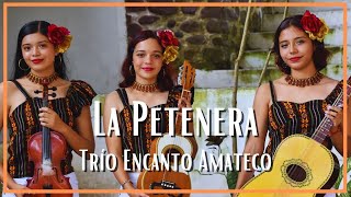 Trío Encanto Amateco  La Petenera [upl. by Aivartal]