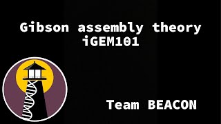 iGEM101 Theory Gibson assembly igem biology [upl. by Asereht]