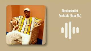 Okmalumkoolkat  Amalobolo House Mix [upl. by Hedy]