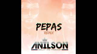 Dj Anilson  Pepas Farruko Remix Afro [upl. by Akinom]