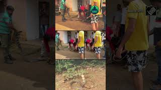 Forest dept rescues highlyvenomous King Cobra from a house in Odisha [upl. by Airotciv593]