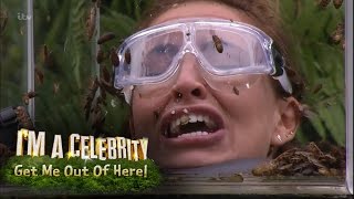 Kendra and Edwina Get in a Furious Bust Up  Im A Celebrity Get Me Out Of Here [upl. by Rodgers]