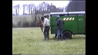 Carted stag hunting Ward Union Staghounds January 18th 1991 [upl. by Katt]