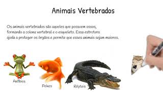 Animais Vertebrados e Invertebrados  Professora Maiza  3 quotAquot [upl. by Thirzia]