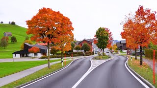 🍂 Golden Autumn in Appenzell Switzerland 🇨🇭 🍁 Autumn Vibes in the Swiss Countryside  swiss [upl. by Zeiler344]