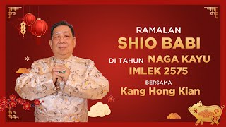 Ramalan Shio Babi di Tahun Naga Kayu 2024 Bersama Kang Hong Kian  Sonora Fengshui [upl. by Kaleena427]