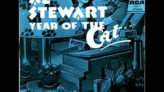 Al Stewart  Year Of The Cat [upl. by Bellew517]