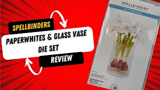 Spellbinders Paperwhites amp Glass Vase Die set Review [upl. by Ellezig]