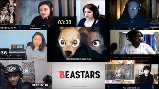 Beastars is PEAK Anime  Beastars Season 2 Finale Blind Reaction [upl. by Dnomaj]