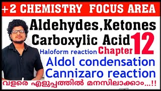 Cannizaro reaction  Aldol condensation  Haloform  Focus area plus two chemistry chapter 12 [upl. by Innavoeg]