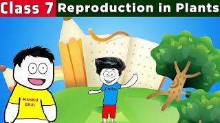 class 7 science chapter 12  Reproduction in Plants  CBSE Class 7 Science [upl. by Staw]