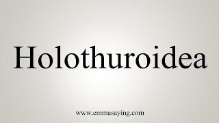 How To Say Holothuroidea [upl. by Hsur692]