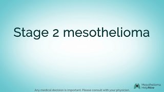 About Stage 2 Pleural Mesothelioma [upl. by Ailekahs]