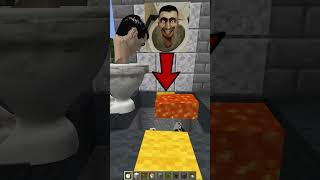 This Secret Minecraft Feature Will Shock You 😱 minecraft meme memes shorts [upl. by Antone]