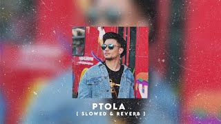 Ptola – Mickey Singh  Slowed amp Reverb  ayoslowed [upl. by Nerwal]