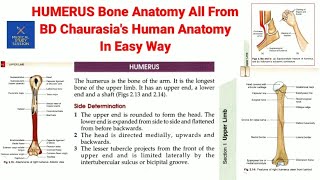 BD Chaurasias Humerus Bone Anatomy [upl. by Eltsyrc]