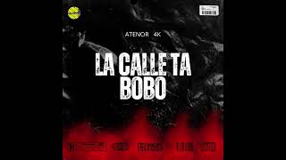 ATenor 4k la calle ta boboaudios oficial [upl. by Haidabo]