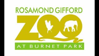 Rosamond Gifford Zoo Full Tour 2024 [upl. by Sakhuja515]