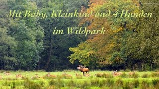 Mit Baby Kleinkind und vier Hunden im Wildpark  Thomas Suster [upl. by Faustena]