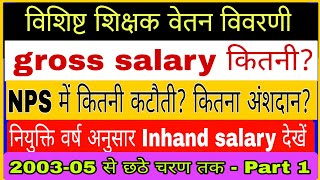 नियोजित से विशिष्ट बनने पर मूलवेतन gross salary nps अंशदान GI एवं inhand salarycta पूरी डिटेल्स [upl. by Bauer699]