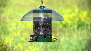 KFeeders® Super Carousel Wild Bird Feeder [upl. by Etra]