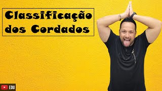 Classificação dos Cordados  Protocordados e Vertebrados  Filo Chordata  Zoologia [upl. by Elamef]