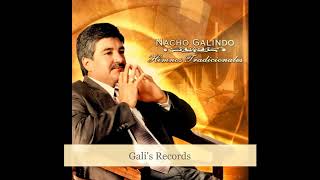 Nacho Galindo  Un Día A La Vez Audio [upl. by Azilef]