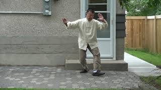 Tung Tai Chi – Slow Form First Half [upl. by Ynohtnaleahcim]