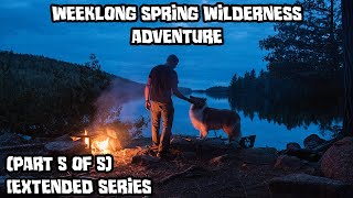 Weeklong Spring Wilderness Adventure With My Dog Part 5 of 5 Extended Series [upl. by Acirema]