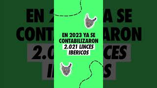 Crecimiento de la población del lince ibérico [upl. by Atreb]