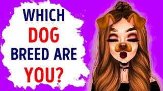 What Dog Breed Are You Based on Your Personality  Fun Quick Test [upl. by Ecnerrot]