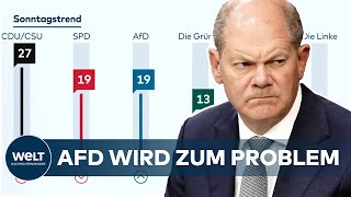 AFDHYPE KNABBERT AN KANZLER Scholz tut rechtsradikale Populisten als quotSchlechteLaune Parteiquot ab [upl. by Nnayram]