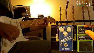 Nobels ODR1 vs Greer Amps Lightspeed Organic Overdrive [upl. by Reich]