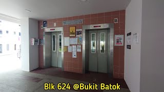 Blk 624 Bukit Batok  1995 GoldStar Elevator Lift A Retired [upl. by Van]