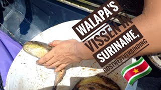 deel2 part2 vissen aan de Oostwestverbinding in Suriname fishing in Suriname [upl. by Odlonra]