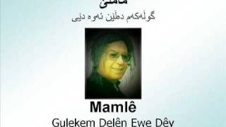 Mamlê  Gulekem Delên Ewe Dêy  ماملێ  گوڵه‌که‌م ده‌ڵێن ئه‌وه‌ دێی [upl. by Llevra]