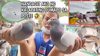 KALAPATING DUMAPO SA POSTE DINAGIT KO🤣 [upl. by Rasmussen]