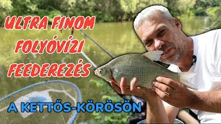 ULTRA FINOM FOLYÓVÍZI FEEDEREZÉS A KETTŐS KÖRÖSÖN [upl. by Zanze819]