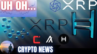 ATTENTION HOLDERS 📢 Bitcoin Bull Run Ripple XRP CSPR HBAR Constellation DAG✔️CRYPTO NEWS [upl. by Jorgensen]