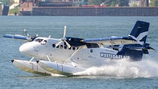 Twin Otter Seaplane Compilation [upl. by Avid]