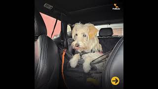 Car Seat Cover For Dogs Waterproof Cover for Bench Back Seat [upl. by Remoh]