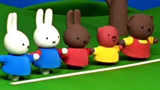 La Course De Boris  Miffy  Compilation Dépisodes Complets [upl. by Airahcaz789]