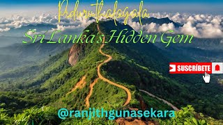 Sri Lankas Hidden Gem🌄 Piduruthalagala Piduruthalagala SriLanka NuwaraEliya TravelSriLanka [upl. by Carol-Jean947]