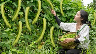 Harvesting WINGED BEAN Harvest GIANT CLAMGo To Market Sell  Farm Daily Life Cooking amp Gardening [upl. by Pearlman585]