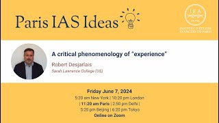 Robert DESJARLAIS  Paris IAS Ideas  A critical phenomenology of “experience” [upl. by Sparrow72]