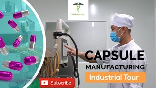 Capsules Manufacturing Process  Soft Gelatin Capsules [upl. by Emlynne307]