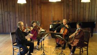 Arianna String Quartet – Kevin Puts Credo [upl. by Anauqahc]